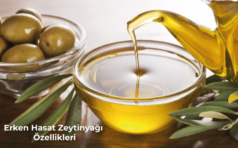 Erken Hasat Zeytinyağı Özellikleri